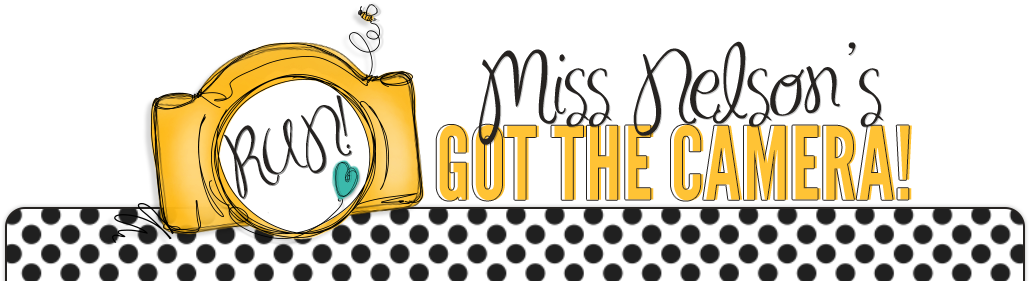 Run Miss Nelson's Got The Camera - Team Clinton-mas Blue 400 Square Car Magnet 3" X 3 (1030x358), Png Download