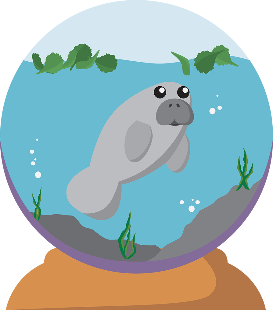 A Digital Work Of A Manatee In A Snow Globe - Cartoon (895x1016), Png Download