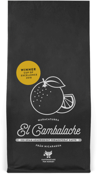 El Cambalache Is Located In Dipilto On An Elevation - Common Fig (332x600), Png Download