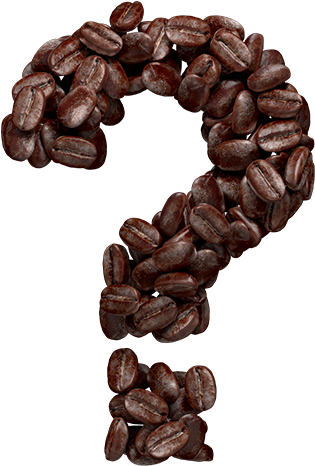 Ruiru 11 Its Grown In All Coffee Growing Areas And - Coffee Beans Typography (527x511), Png Download