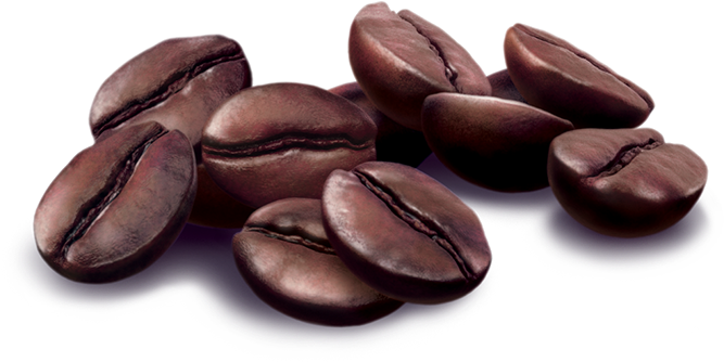 Creative Services - Transparrent Png Coffee Beans (745x375), Png Download