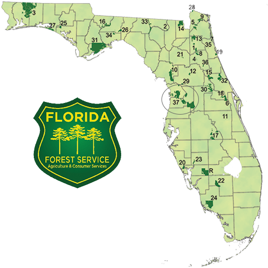 You Can Follow Florida Commissioner Adam Putnam On - National Forest Map Florida (531x531), Png Download