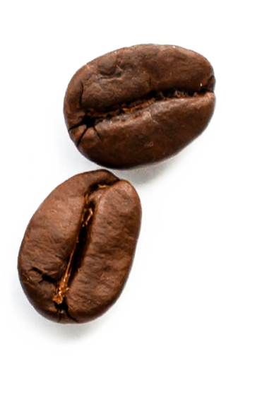 Beans - Bean (388x586), Png Download