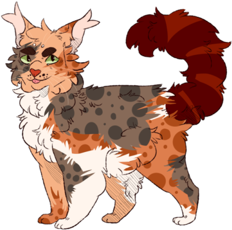 2 - Tortoiseshell Cat (500x463), Png Download