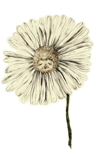 Brittany Is A Recent Graduate Of Maryland Institute - Artificial Flower (380x544), Png Download