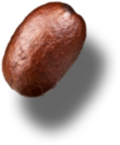 Single Coffee Bean Png Single Bean Png - Avocado (387x465), Png Download