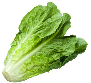Romaine Lettuce Png - Lettuce Png (600x348), Png Download