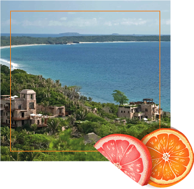 Frutti-kaa, Volviendo A Lo Natural - Sea (400x391), Png Download