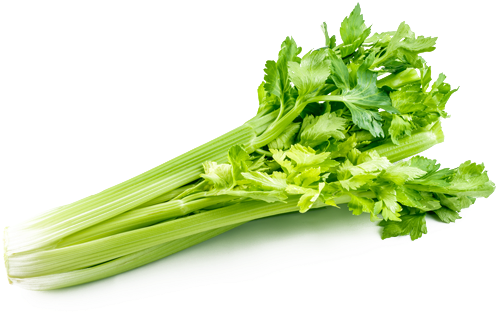 Celery Png Picture - Celery Png (750x335), Png Download