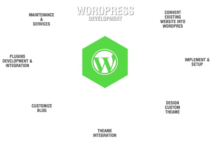 Akeans Has Remained A Leading Custom Wordpress Development - Wordpress Theme Development Services (722x535), Png Download