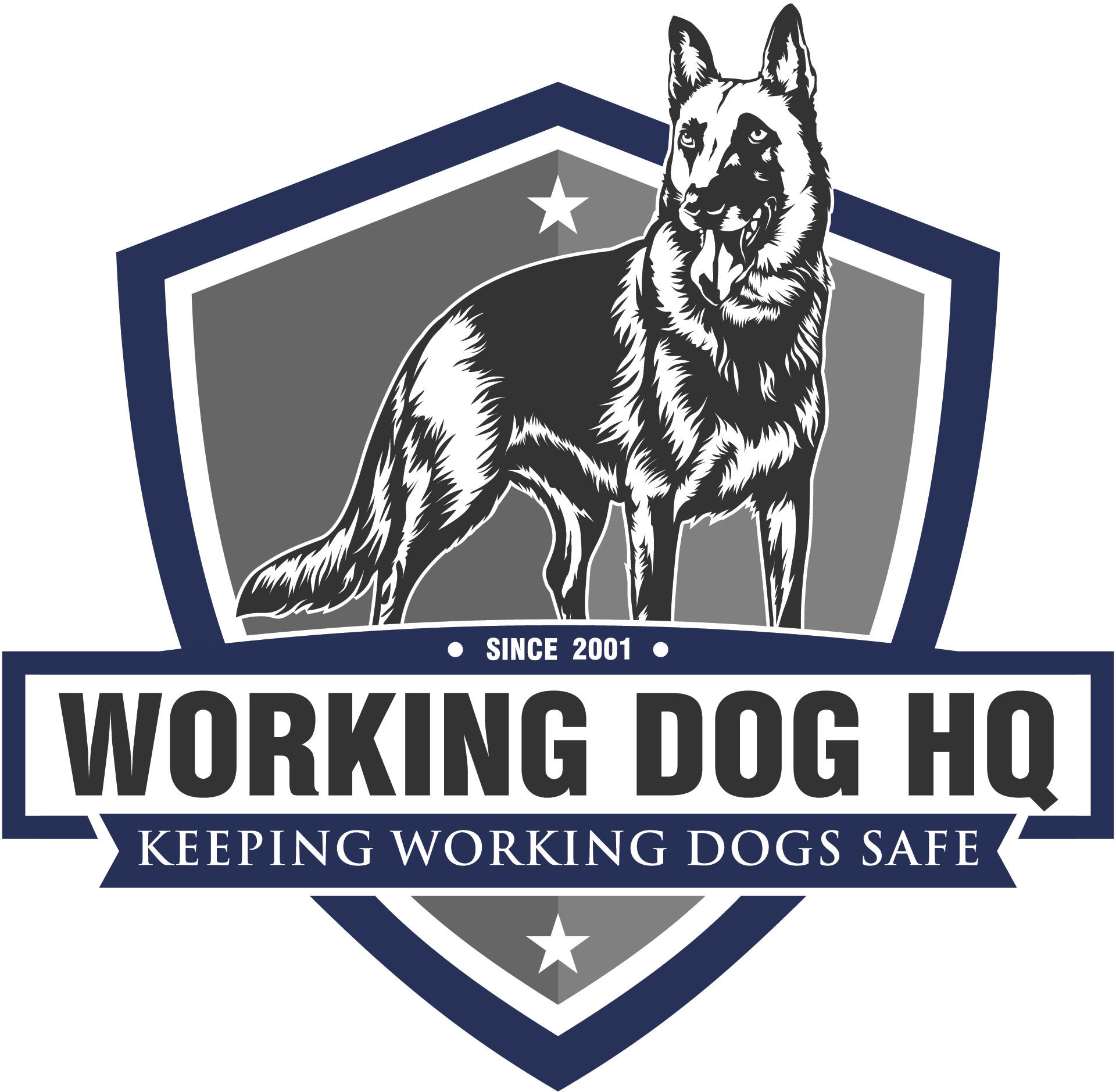 Working Dog Hq - Police Dog (1920x1879), Png Download