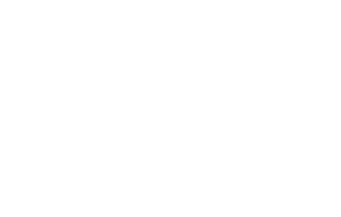 White Lines 3 - Twitter White Bird Logo (1000x477), Png Download