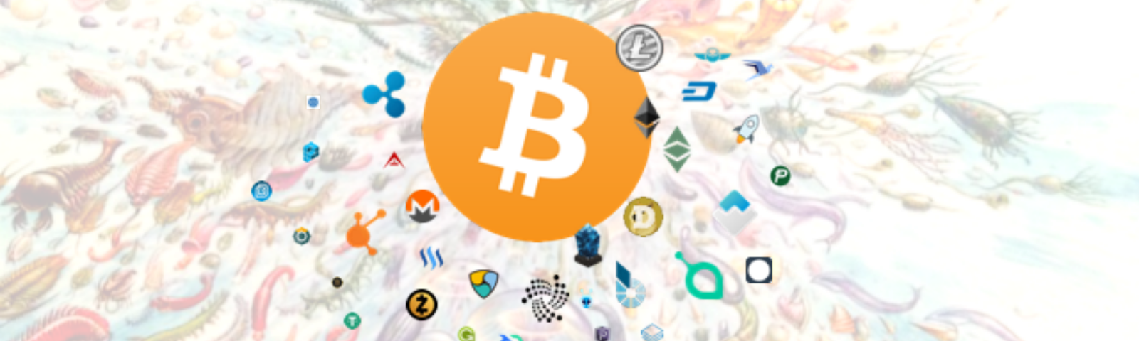 How Cryptocurrency Is Making Us Better At Money - Circle (1600x480), Png Download