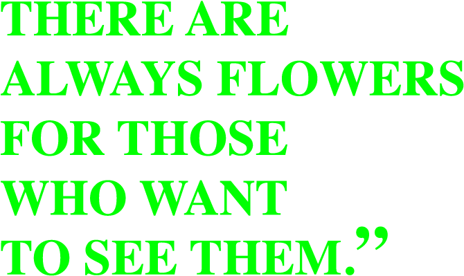 Flowers-quote - Cayo Costa State Park (720x483), Png Download