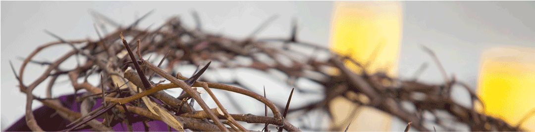 Lent 2017 Catholic (1080x420), Png Download