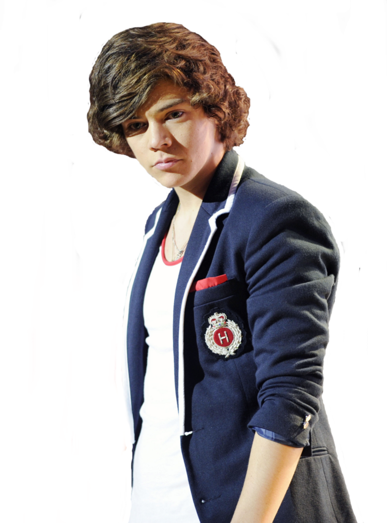 Png Harry Styles - Png De Harry Styles (768x1039), Png Download