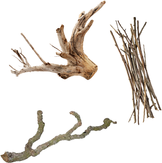 Photo By - - Wood (600x600), Png Download