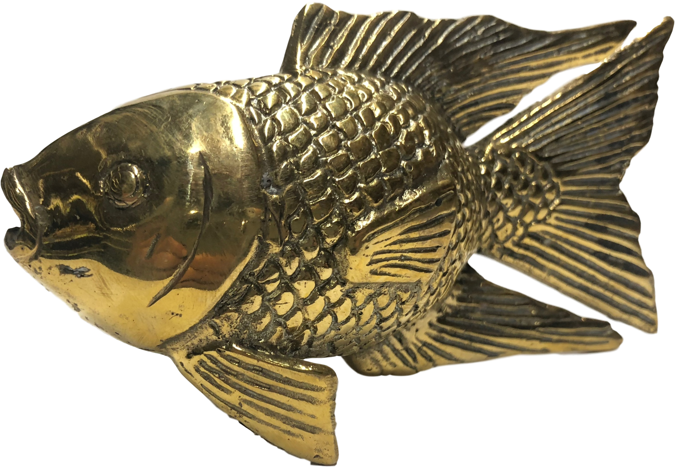 Cast Brass Koi Fish Finished In A Golden Shiny Color - Carp (3344x2508), Png Download