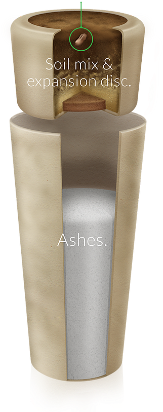 Explosionat - Bios Urn (501x815), Png Download