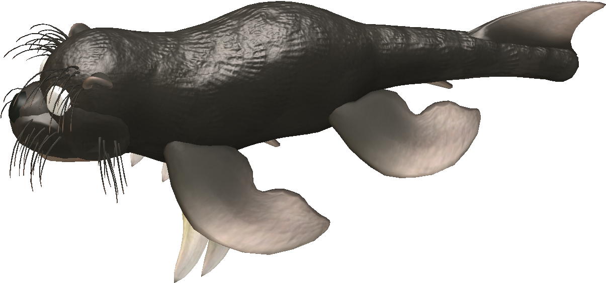 Slimecoat Otter - California Sea Lion (1233x599), Png Download