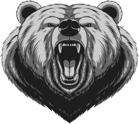 600 X 600 3 - Angry Bear Head (600x600), Png Download