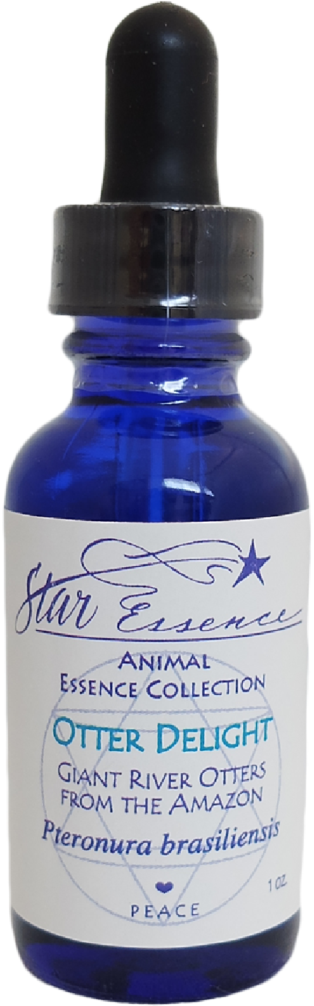 Star Essence - Remedio Natural Para Intestino Preso (1500x1500), Png Download