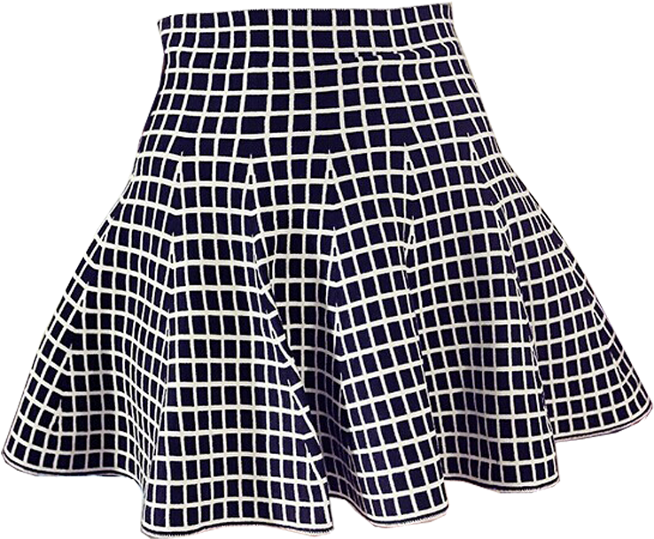 Reversible Grid Skirt - Faldas Vintage Años 50 (800x800), Png Download