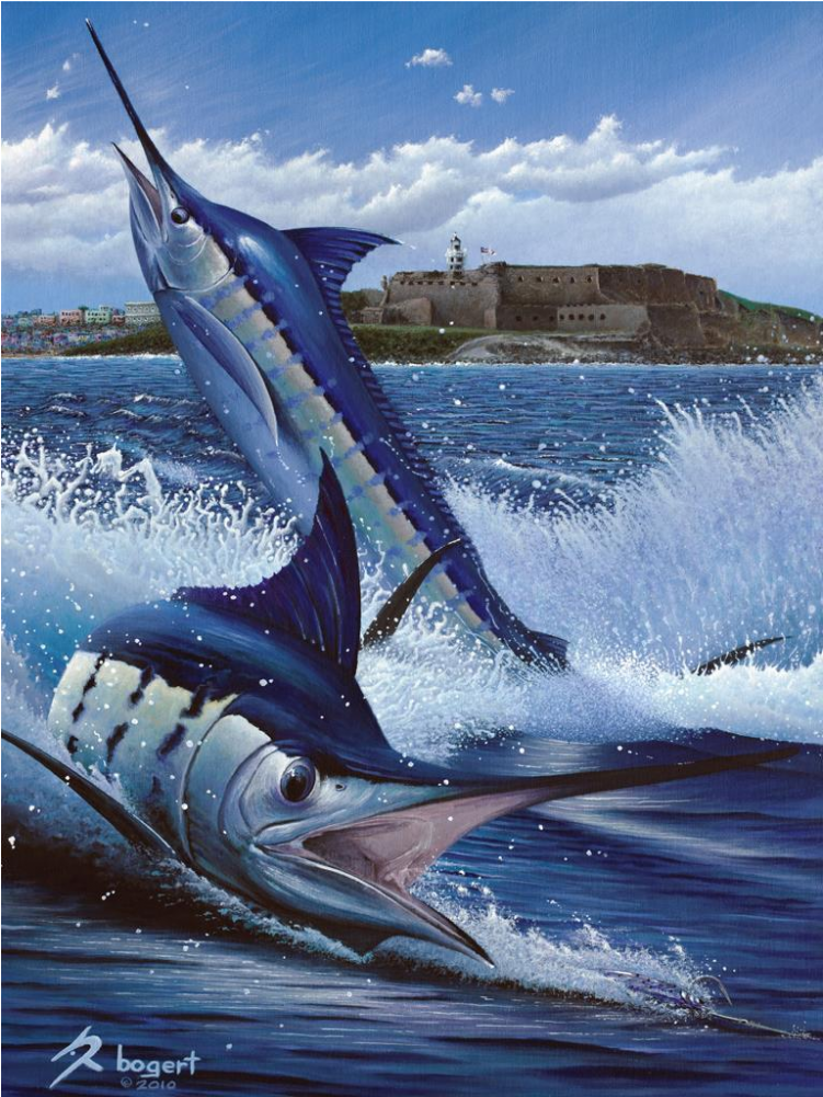 Blue Marlin Puerto Rico (1000x1000), Png Download