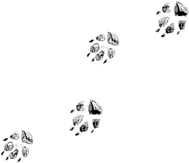 Where The Wild Things Are - Emblem (1000x864), Png Download