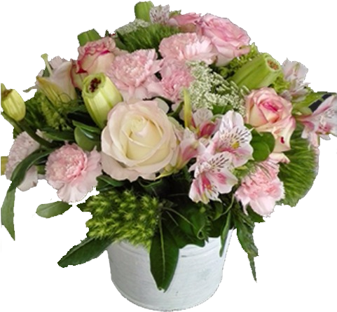 Destellos De Alegria - Garden Roses (643x684), Png Download