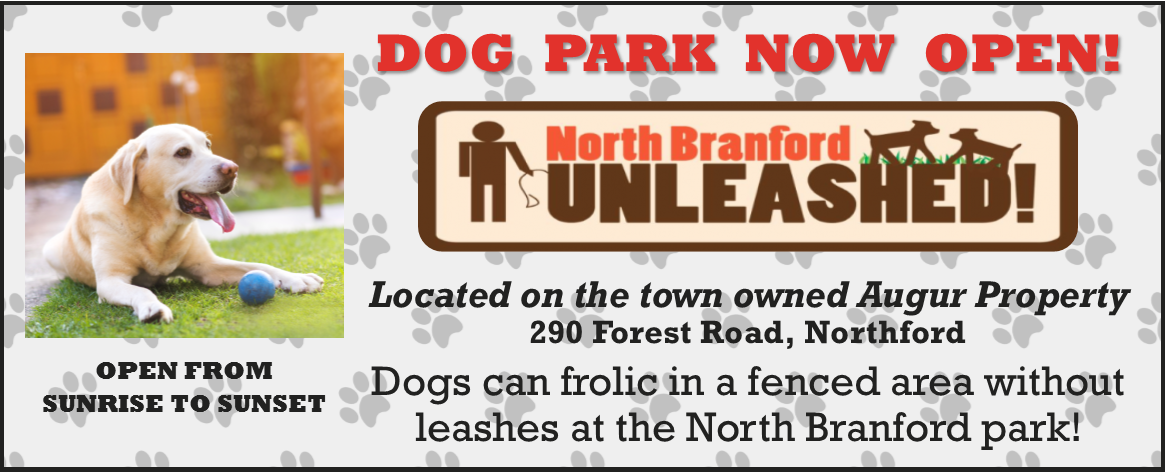 A&i Products (1166x472), Png Download