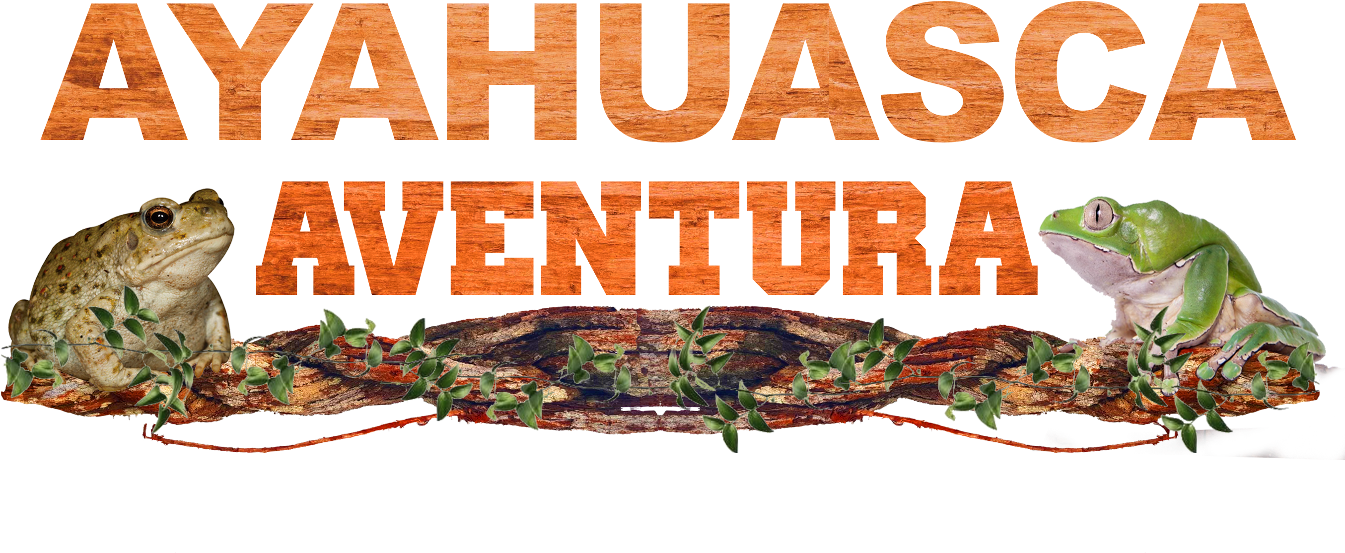 Dish (3000x2000), Png Download