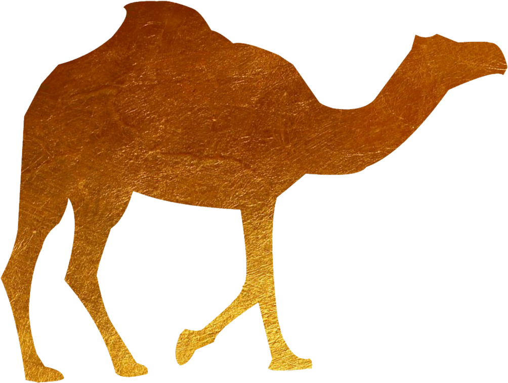 #animal #camel #gold - Camel (1024x780), Png Download