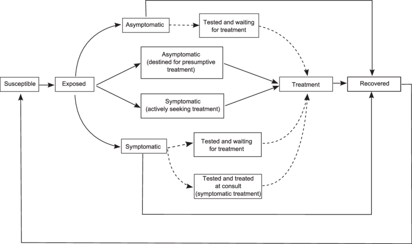 Compartmental Diagram Of The Model Used In The Analysis - Diagram (850x504), Png Download