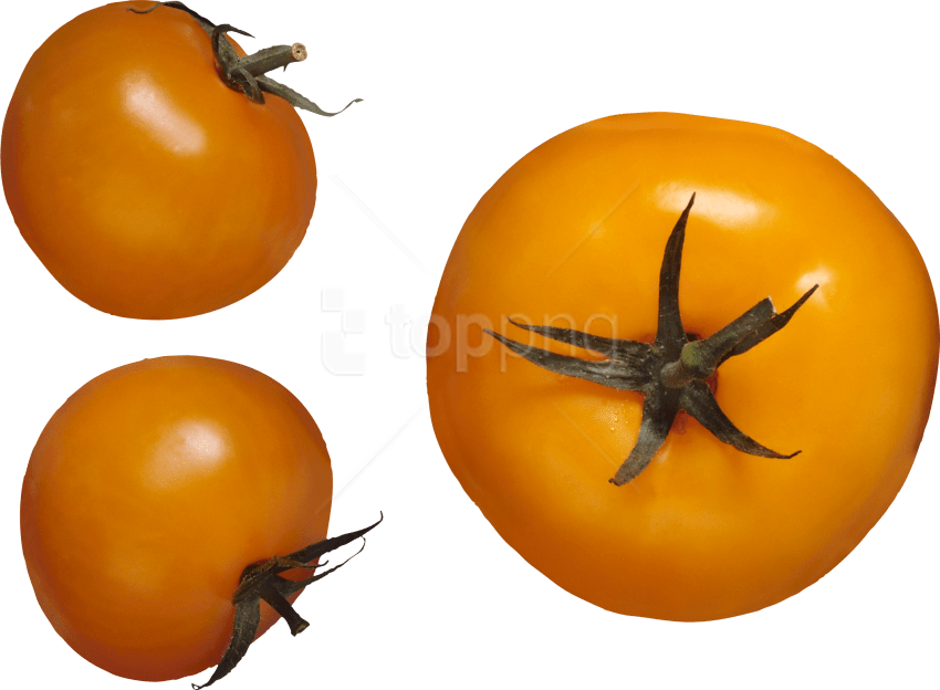 Download Red Tomatoes Png Images Background - Жёлтый Помидор Png (850x624), Png Download