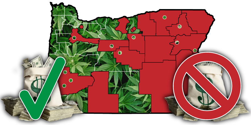 Floral Design (800x400), Png Download