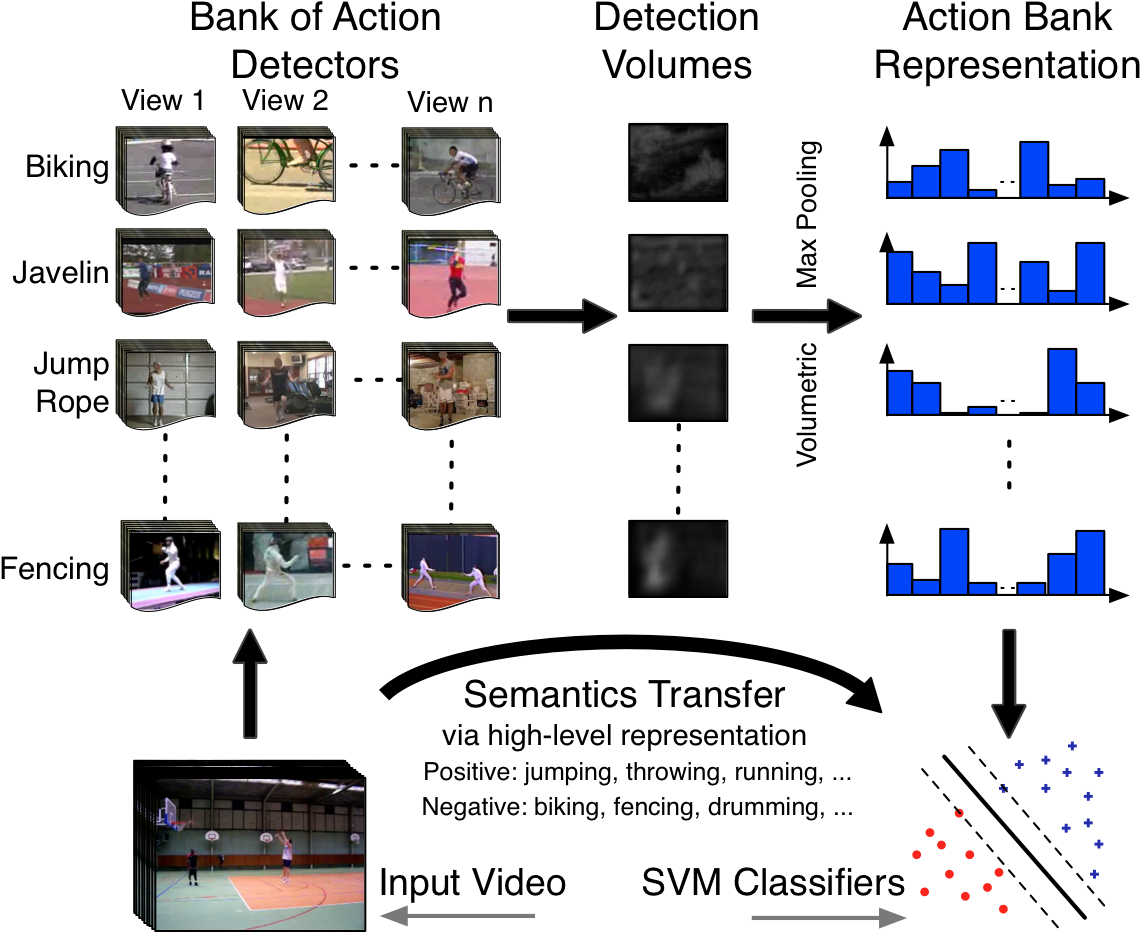 Human Motion And Activity Is Extremely Complex - Video Action Recognition (1172x947), Png Download