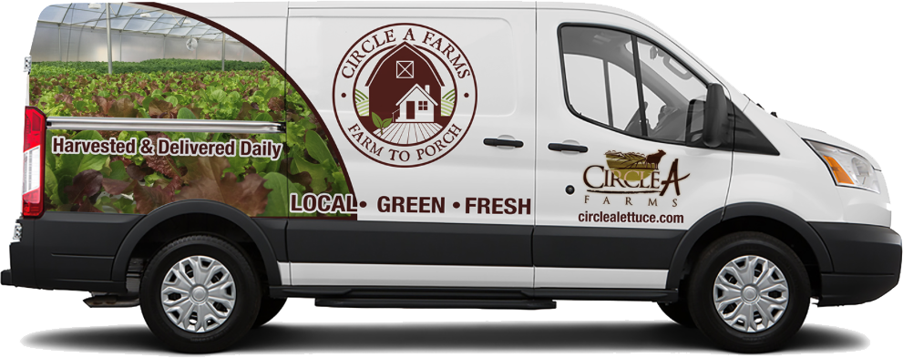 Growing The Best Lettuce You Can Find - Compact Van (991x393), Png Download