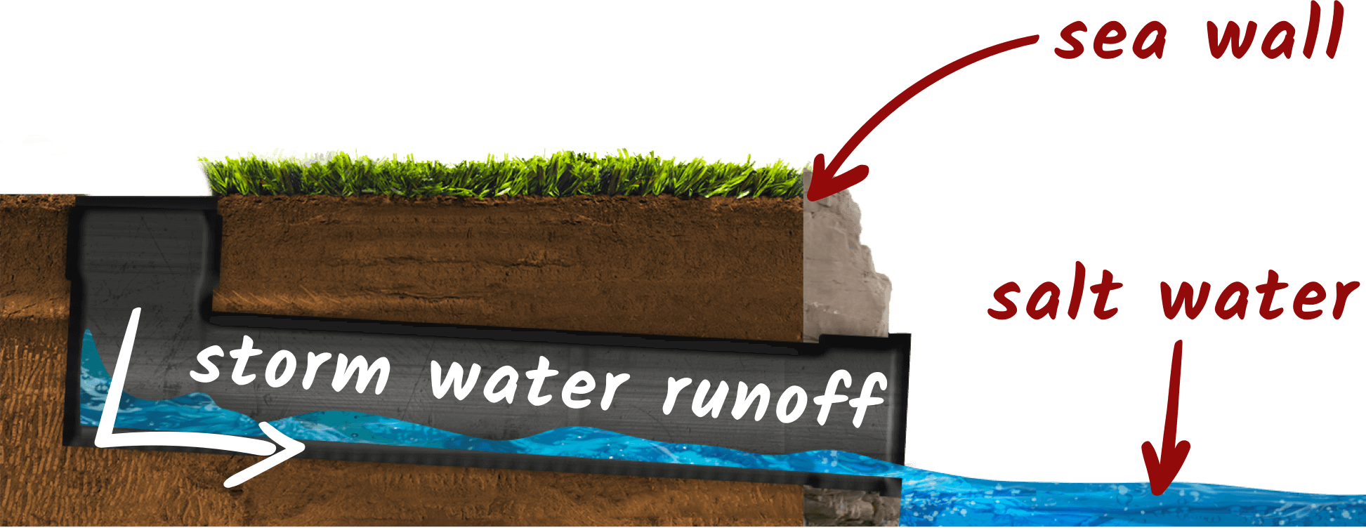 Drain A - Grass (1945x755), Png Download