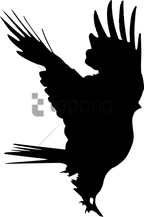 Free Png Download Portable Network Graphics Png Images - Png Format Bird Logo Png (480x721), Png Download