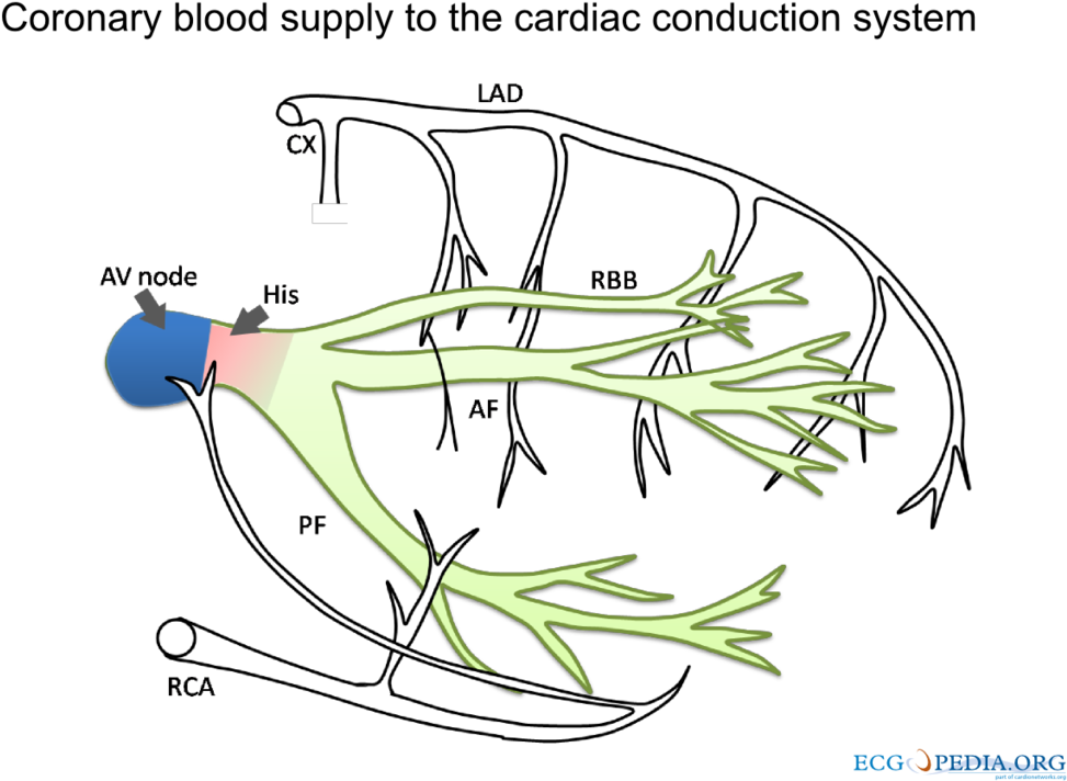 320 × 240 Pixels - Diagram (1024x768), Png Download