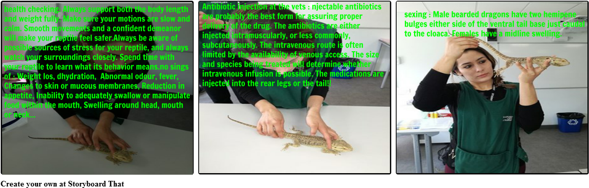 Handle And Restrain - Alligator Lizard (1164x385), Png Download
