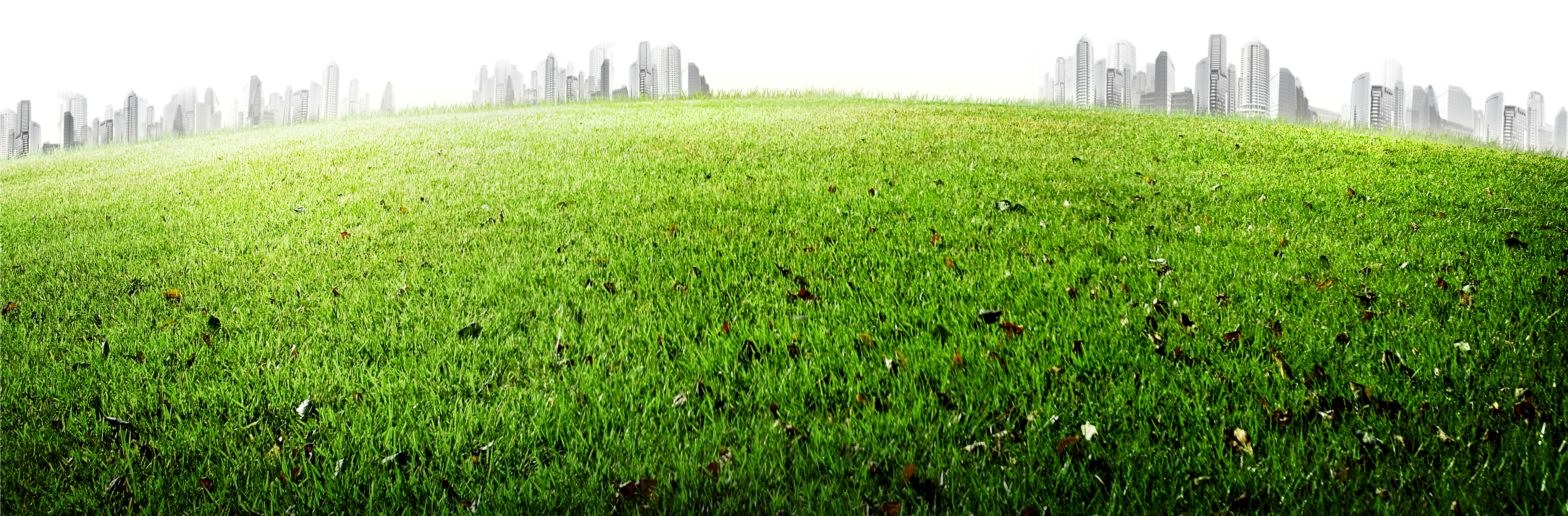 Download Meadow 5200 3458 Transprent Png Free Download Png Image With No Background Pngkey Com