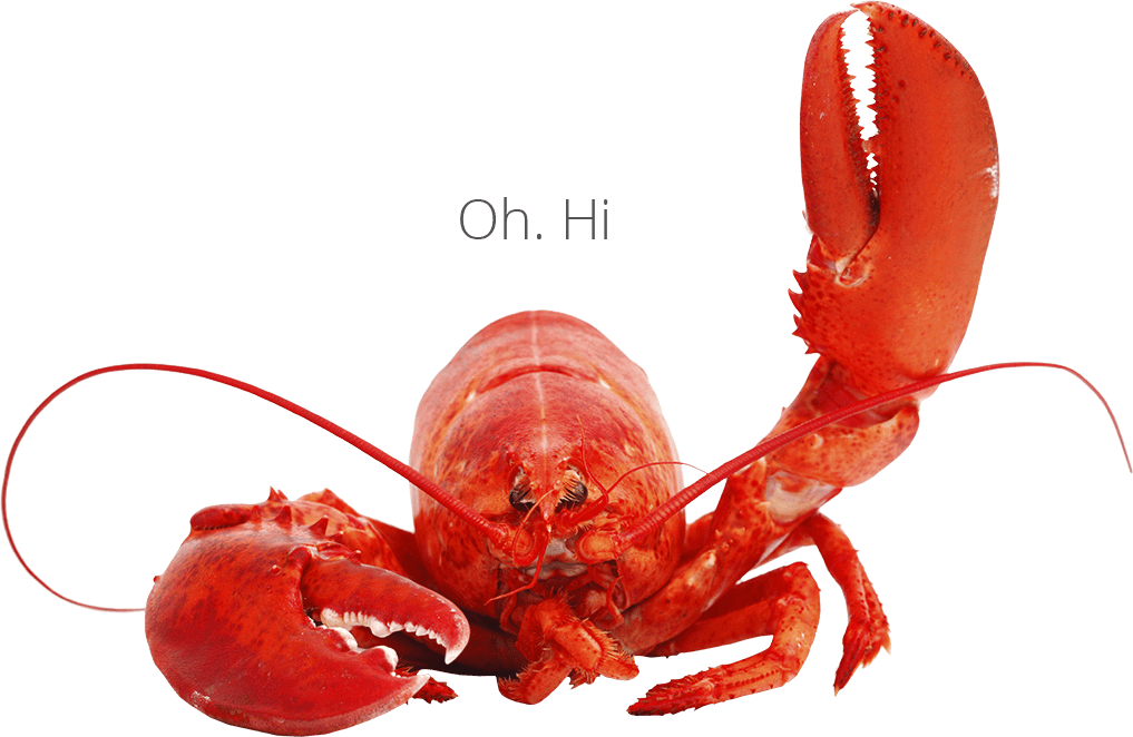 Hello From Lobster - Lobster Png (1017x662), Png Download