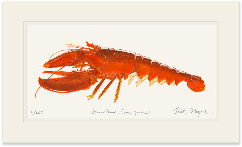 Sign Up And Get 10% Off - American Lobster (1023x664), Png Download