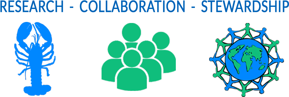 About Us - Graphic Design (1218x470), Png Download