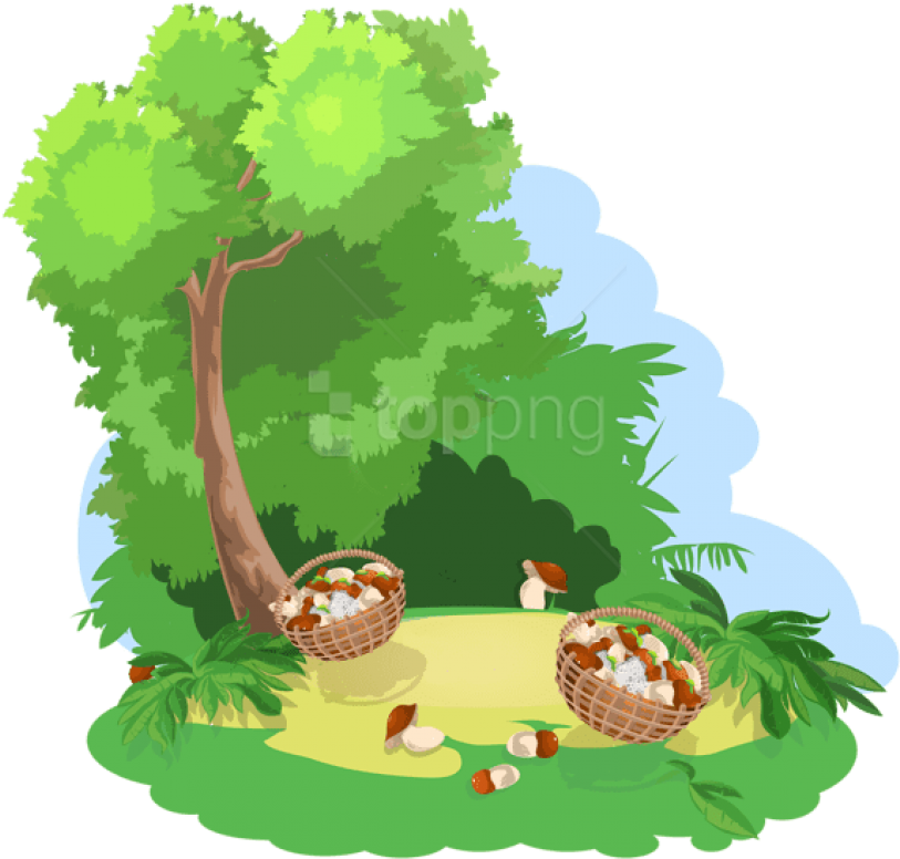 Download Decoration With Tree And Baskets Of Mushrooms - Tweety (850x815), Png Download