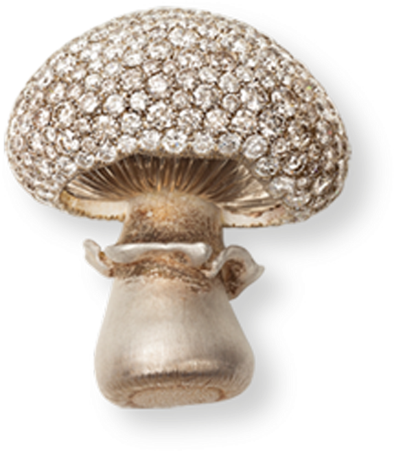 Shiitake (800x800), Png Download