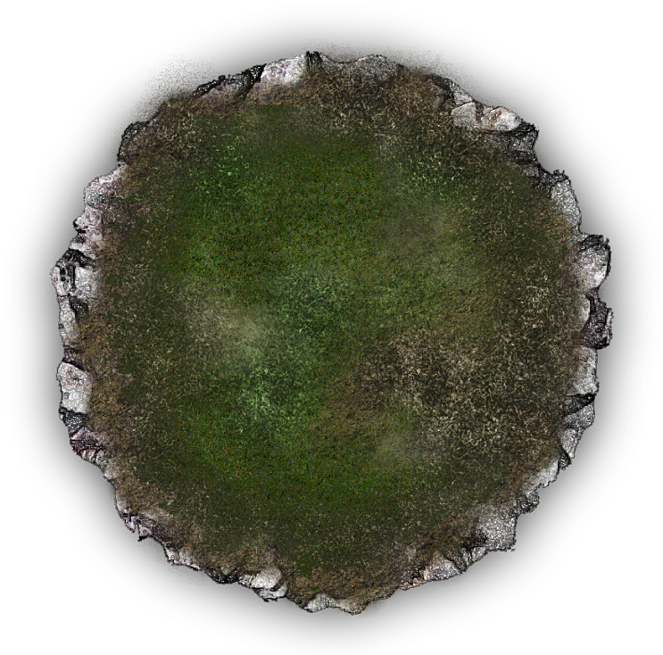 24 Mar 2009 - Hedgehog Cactus (800x757), Png Download