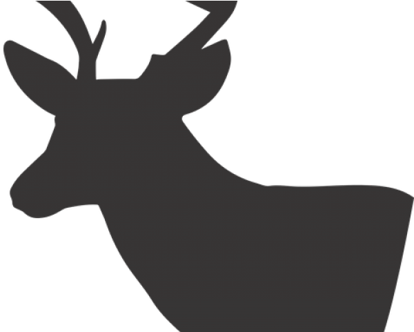 Free Deer Silhouette - Elk (640x480), Png Download